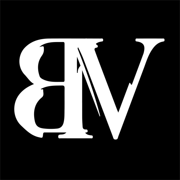 高级首字母BV设计图片下载