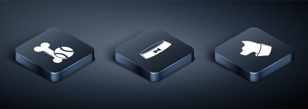 设置等距宠物玩具骨头橡胶球，猫和宠物食物碗图标。向量图片下载