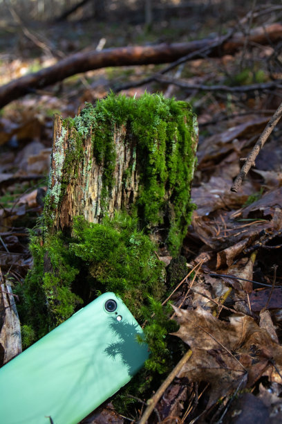 照片中的手机躺在长满苔藓的树桩旁图片下载