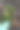 照片中的手机躺在长满苔藓的树桩旁图片下载