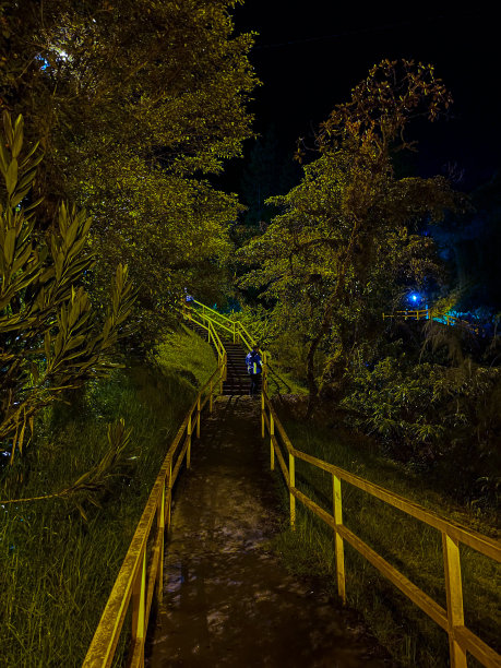 晚上路图片下载