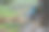 村里的自然照片图片下载