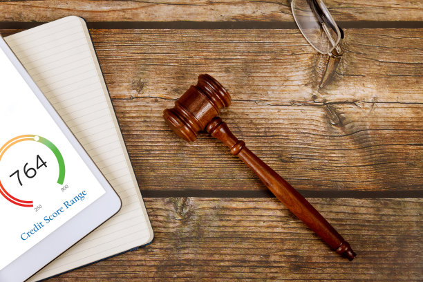 通过使用数字平板电脑，您可以轻松地查看和组织您所有的信用评分报告文件。图片下载