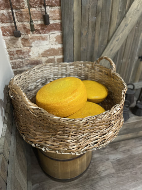 把不同种类的奶酪放在一个篮子里。不同种类的美味奶酪。瑞士，法国，意大利和荷兰奶酪的集合。乳制品。各种各样的奶酪。库存图片图片下载