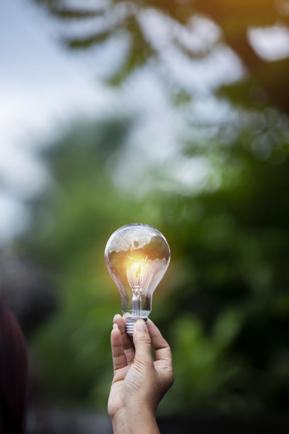 灯泡对抗自然，图标图片下载