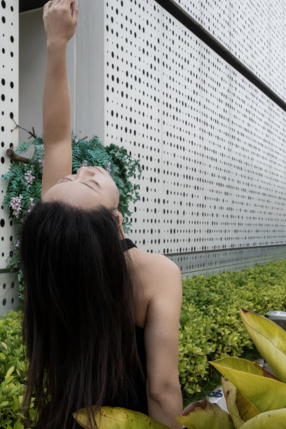 妇女们在蓝色植物前锻炼图片下载