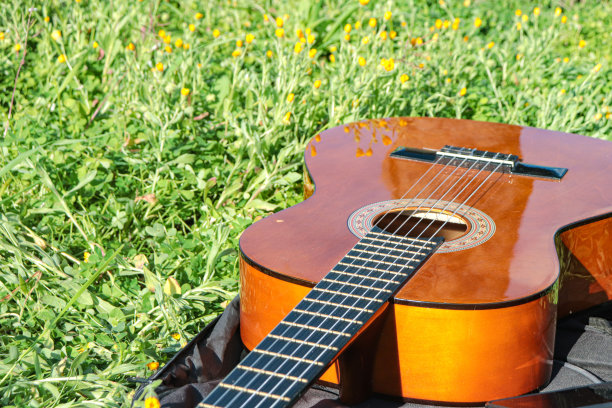 孤立的吉他在自然户外图片下载