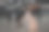 穿着黑色运动服的女人们在室内的玻璃镜子前锻炼图片下载