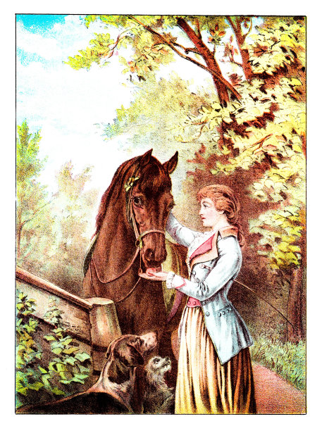 女人喂马苹果，狗乞求注意，彩色图像图片下载