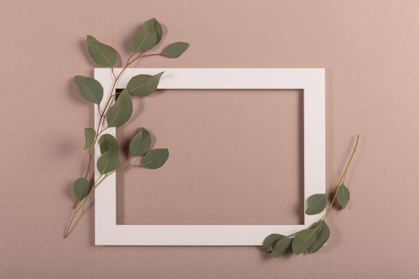 模型与美丽的新鲜桉树树枝和空框架图片下载