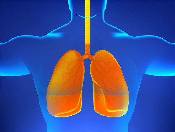 肺部疾病的人体x光。3D人体全息图和橙色肺图片下载