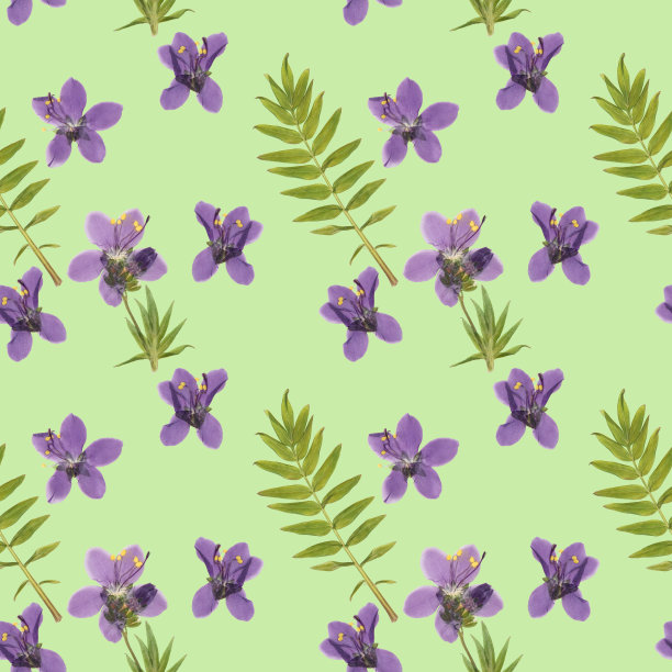 君子兰。无缝模式。花的背景。用于封面、包装的装饰印花。插图。纺织品、棉织物、墙纸、t恤、亚麻制品的拼贴图片下载