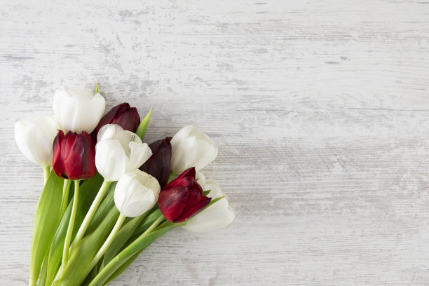 美丽的郁金香在木制背景图片下载
