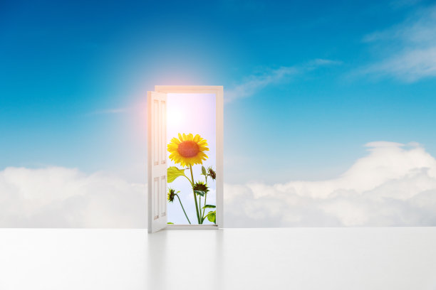 用美丽的向日葵开门图片下载