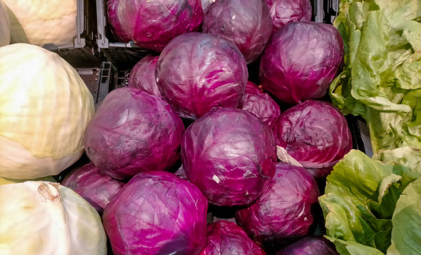 蔬菜摊位的特写，中间是红卷心菜，旁边是白卷心菜和生菜图片下载