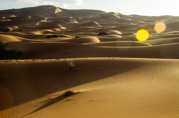 撒哈拉沙漠中的沙丘，摩洛哥的梅尔祖加沙漠。日落图片下载