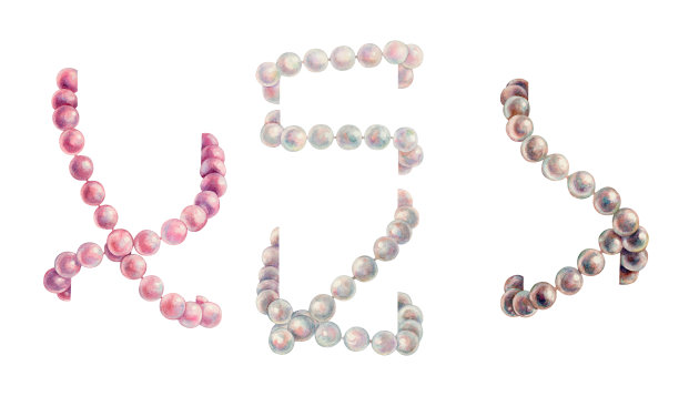 水彩手绘海珍珠插图:迷人的珠子，念珠，项链的图案设计，邀请，卡片，壁纸，明信片。元素孤立在白色背景上图片下载