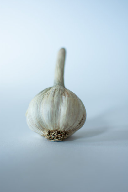 白色底色的艺术新鲜大蒜图片下载