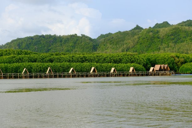 红树林地区的一排小屋图片下载
