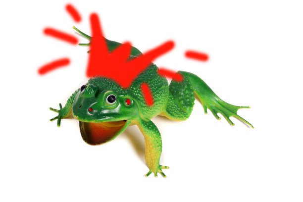 皇冠上的玩具青蛙，公主青蛙概念图片下载