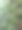 苔藓图片下载