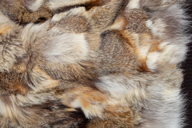 皮衣由不同动物的皮毛碎片作为背景特写图片下载