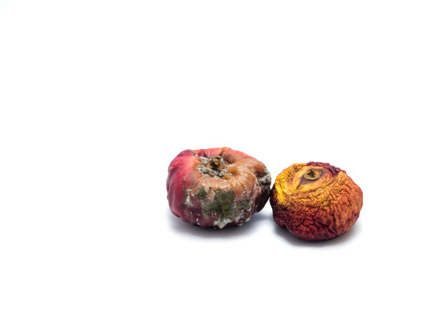 白色背景上两个皱巴巴的腐烂桃子的特写镜头图片下载