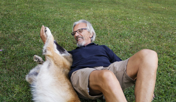 老人和他的狗在草地上玩耍图片下载