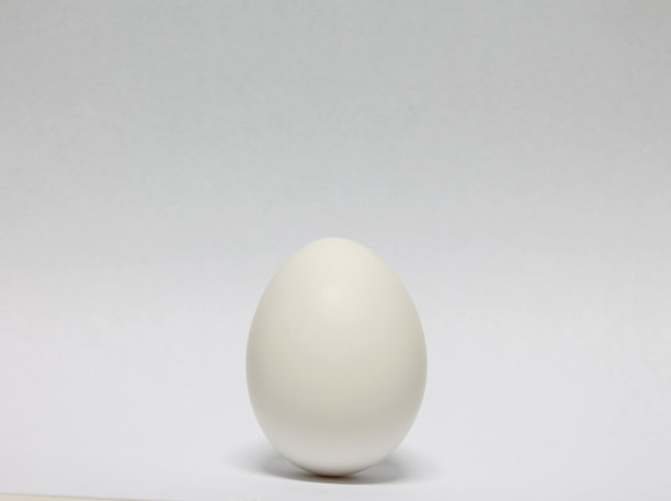 一个鸡蛋图片下载