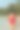 性感美丽的白人女性女性在红色泳衣比基尼黑色遮阳帽和太阳镜走在海滩上看，享受海风和阳光图片下载