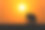 行走的大象剪影在傍晚和太阳在背景。为字母复制空格。图片下载