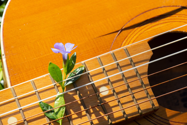 春天的阳光下，旧的棕色木制吉他躺在草地上图片下载