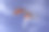 旗帜在蓝白色的天空下飘扬图片下载