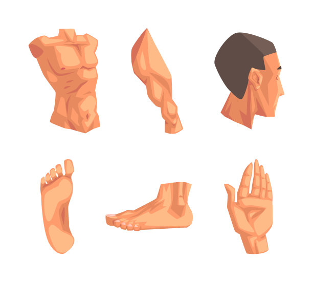 身体部分与躯干，人的头，手手掌和脚与鞋底矢量集图片下载