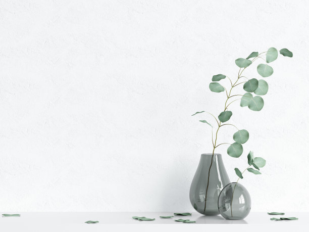 白色室内背景与植物图片下载