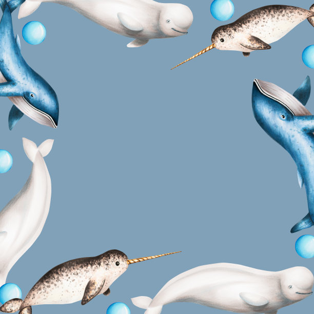 水彩框架与白鲸，蓝鲸和独角鲸隔离在白色背景。手绘现实的北极和南极海洋哺乳动物。为设计师，装饰，明信片，包装纸，剪贴簿，封面，标志，邀请，海报和tex图片下载