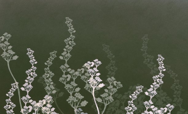 无标题的艺术品图片下载