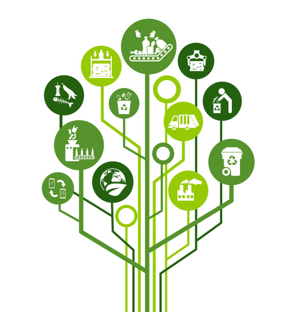 废物管理和回收矢量图。绿色概念与图标相关的分类和分类不同的垃圾或垃圾类型图片下载