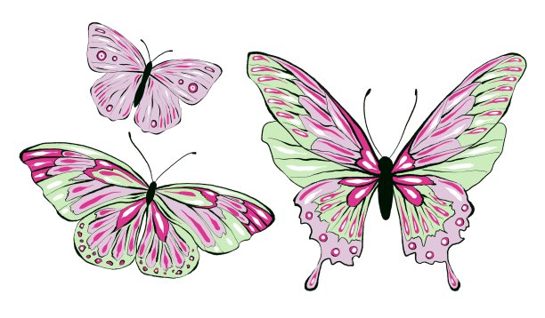 粉红色的蝴蝶，孤立的白色背景图片下载