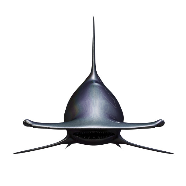 3D渲染，插图鲨鱼图片下载