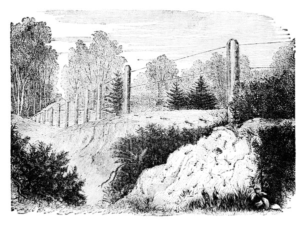 乡村景观中的蚁丘图片下载