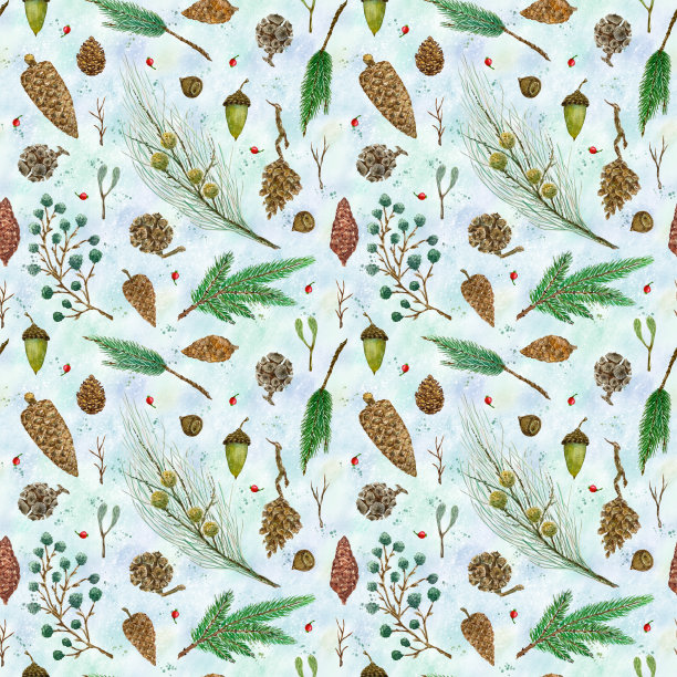 无缝模式与松枝，球果和橡子图片下载