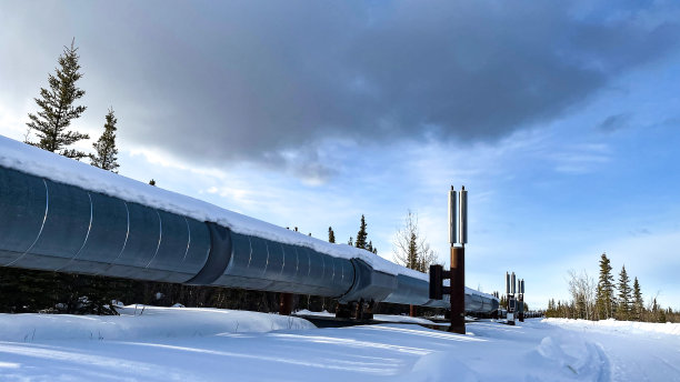 阿拉斯加内陆的跨阿拉斯加管道图片下载