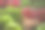 菜市场上成熟的蔬菜图片下载