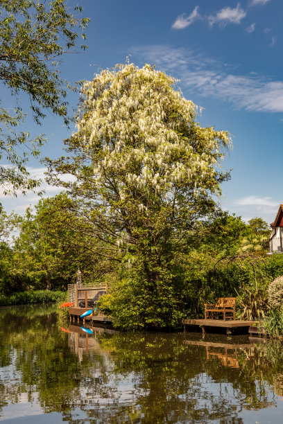 英国的春天图片下载