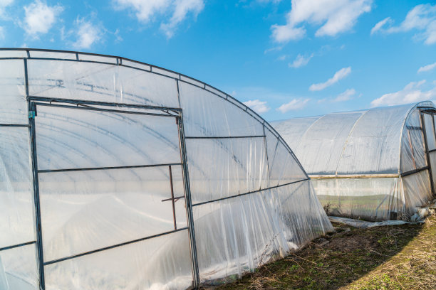 早春时节农场里的温室。温室是用来种蔬菜的图片下载
