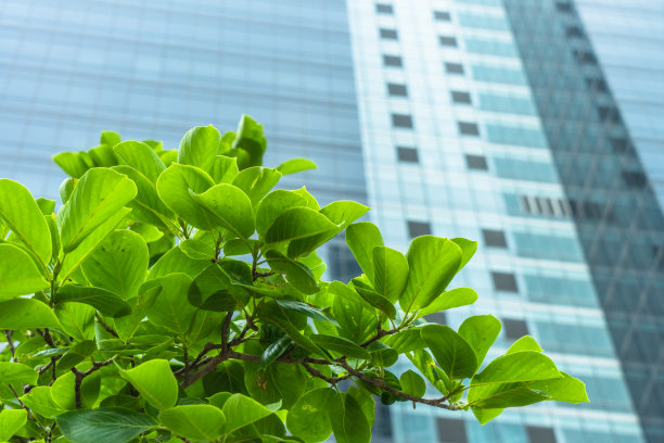 绿色的现代办公楼图片下载