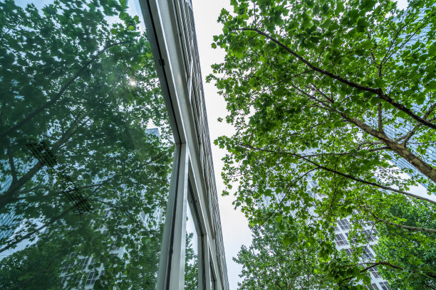 商业大厦和绿叶图片下载