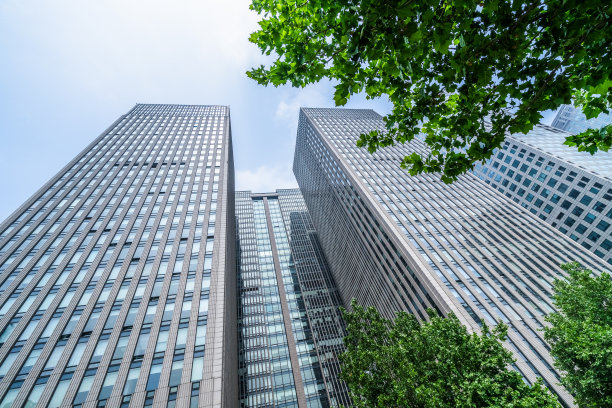 商业大厦和绿叶图片下载