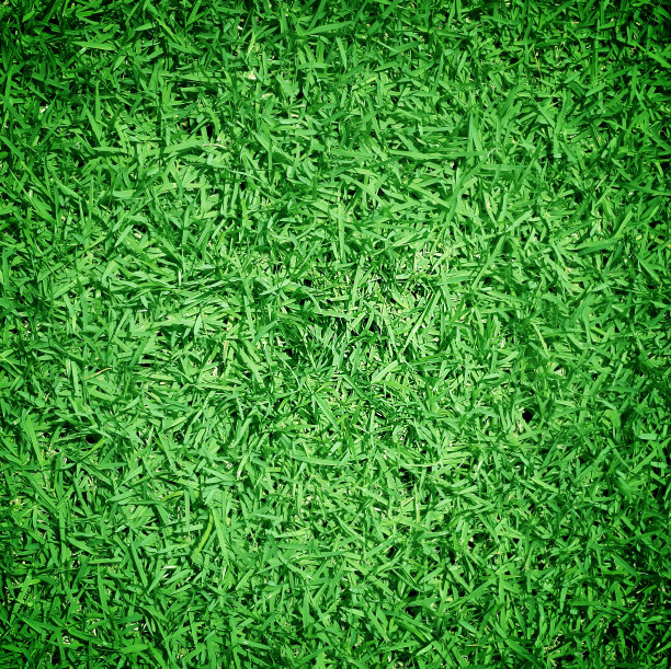 绿色草地纹理背景图片下载